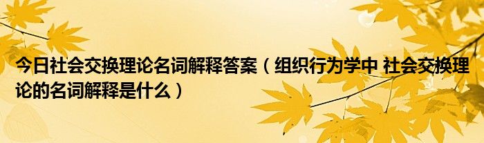 今日社会交换理论名词解释答案（组织行为学中 社会交换理论的名词解释是什么）