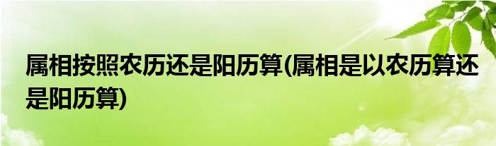 属相按照农历还是阳历算(属相是以农历算还是阳历算)