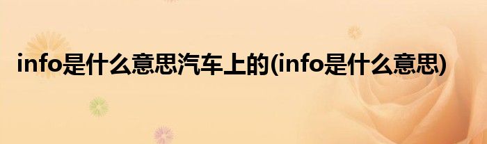 info是什么意思汽车上的(info是什么意思)