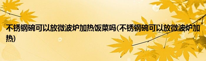 不锈钢碗可以放微波炉加热饭菜吗(不锈钢碗可以放微波炉加热)