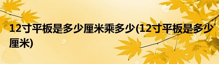 12寸平板是多少厘米乘多少(12寸平板是多少厘米)