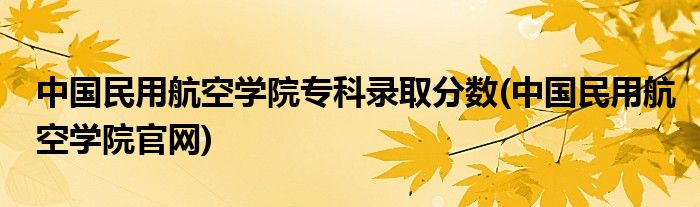 中国民用航空学院专科录取分数(中国民用航空学院官网)