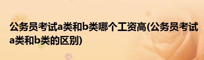 公务员考试a类和b类哪个工资高(公务员考试a类和b类的区别)