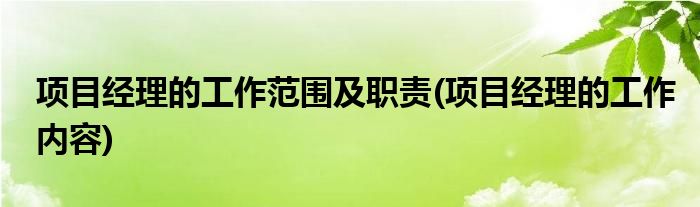 项目经理的工作范围及职责(项目经理的工作内容)