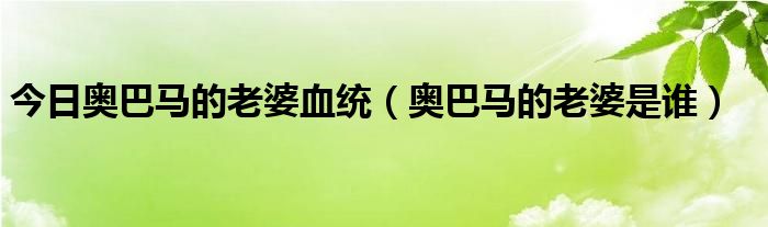 今日奥巴马的老婆血统（奥巴马的老婆是谁）