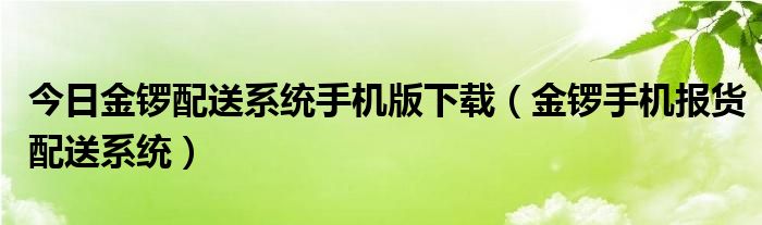 今日金锣配送系统手机版下载（金锣手机报货配送系统）