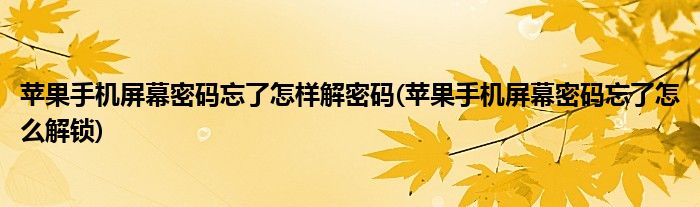 苹果手机屏幕密码忘了怎样解密码(苹果手机屏幕密码忘了怎么解锁)