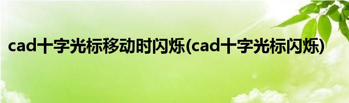 cad十字光标移动时闪烁(cad十字光标闪烁)