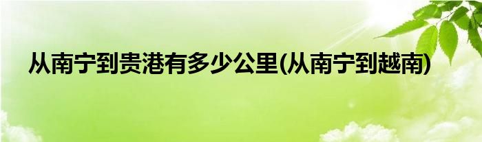 从南宁到贵港有多少公里(从南宁到越南)