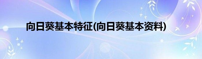 向日葵基本特征(向日葵基本资料)