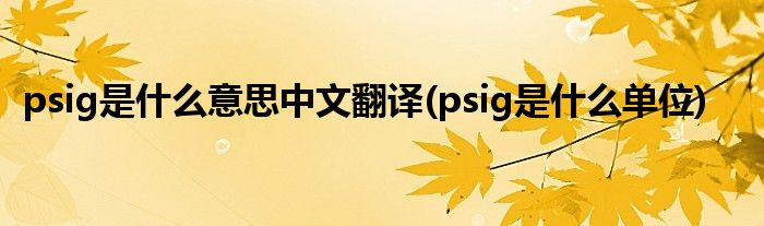 psig是什么意思中文翻译(psig是什么单位)