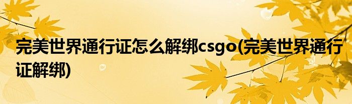 完美世界通行证怎么解绑csgo(完美世界通行证解绑)