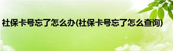 社保卡号忘了怎么办(社保卡号忘了怎么查询)