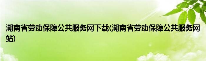 湖南省劳动保障公共服务网下载(湖南省劳动保障公共服务网站)