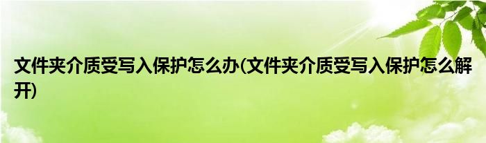 文件夹介质受写入保护怎么办(文件夹介质受写入保护怎么解开)