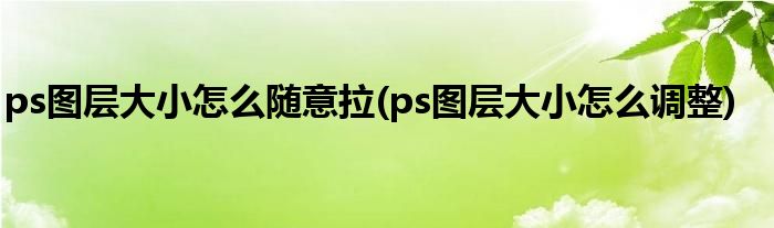 ps图层大小怎么随意拉(ps图层大小怎么调整)