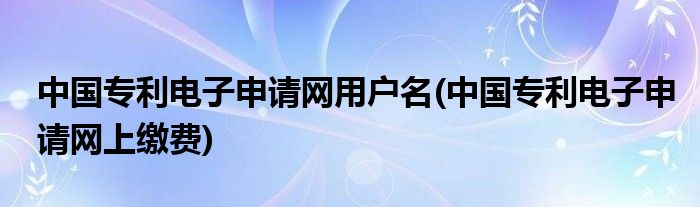 中国专利电子申请网用户名(中国专利电子申请网上缴费)