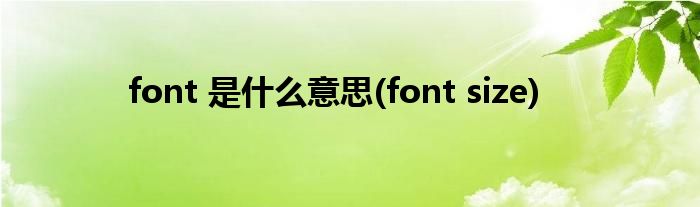 font 是什么意思(font size)