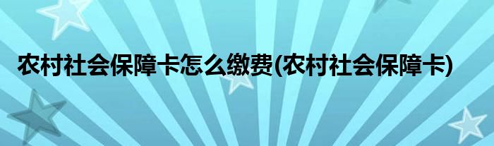 农村社会保障卡怎么缴费(农村社会保障卡)