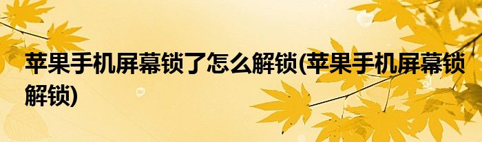 苹果手机屏幕锁了怎么解锁(苹果手机屏幕锁解锁)