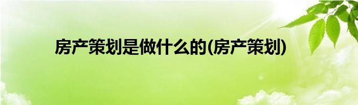 房产策划是做什么的(房产策划)