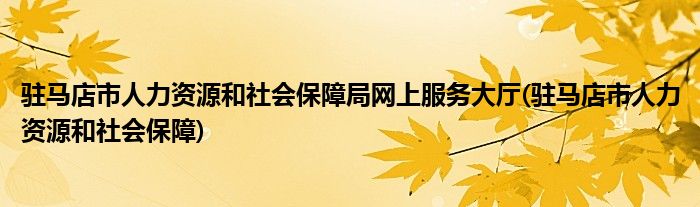 驻马店市人力资源和社会保障局网上服务大厅(驻马店市人力资源和社会保障)