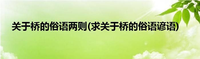 关于桥的俗语两则(求关于桥的俗语谚语)