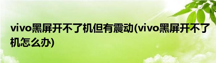 vivo黑屏开不了机但有震动(vivo黑屏开不了机怎么办)