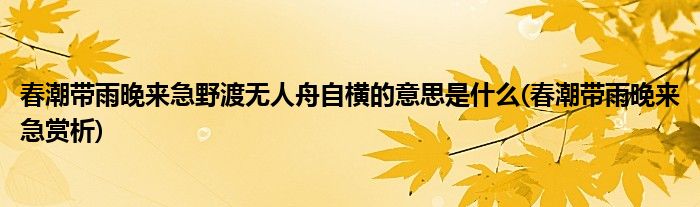 春潮带雨晚来急野渡无人舟自横的意思是什么(春潮带雨晚来急赏析)