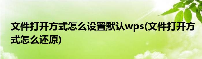 文件打开方式怎么设置默认wps(文件打开方式怎么还原)