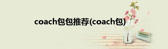 coach包包推荐(coach包)