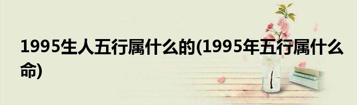 1995生人五行属什么的(1995年五行属什么命)