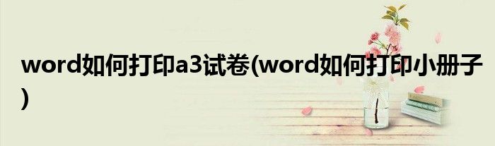 word如何打印a3试卷(word如何打印小册子)