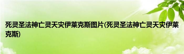 死灵圣法神亡灵天灾伊莱克斯图片(死灵圣法神亡灵天灾伊莱克斯)