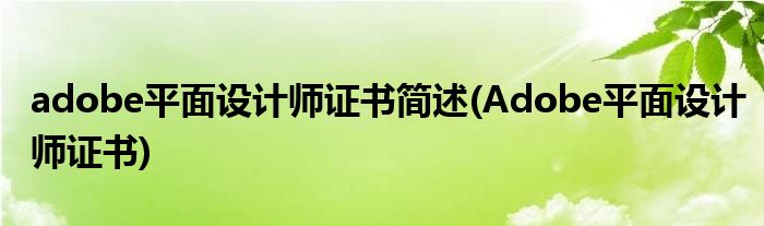 adobe平面设计师证书简述(Adobe平面设计师证书)