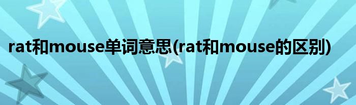 rat和mouse单词意思(rat和mouse的区别)