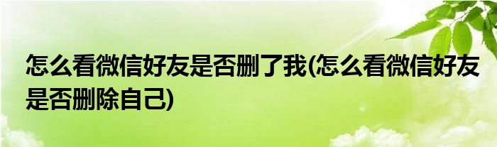 怎么看微信好友是否删了我(怎么看微信好友是否删除自己)