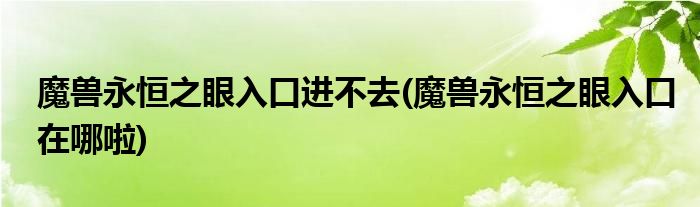 魔兽永恒之眼入口进不去(魔兽永恒之眼入口在哪啦)