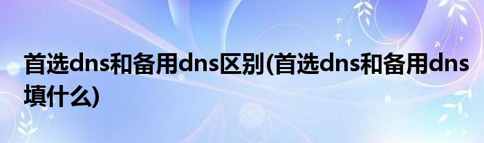 首选dns和备用dns区别(首选dns和备用dns填什么)