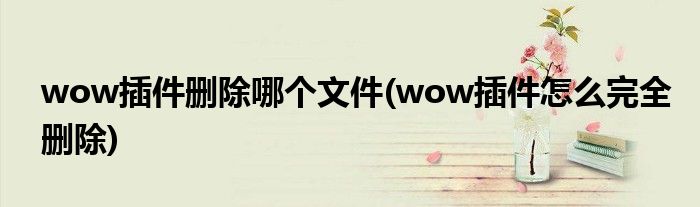 wow插件删除哪个文件(wow插件怎么完全删除)