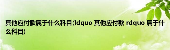 其他应付款属于什么科目(ldquo 其他应付款 rdquo 属于什么科目)