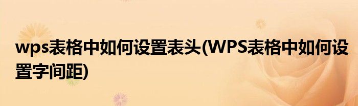 wps表格中如何设置表头(WPS表格中如何设置字间距)