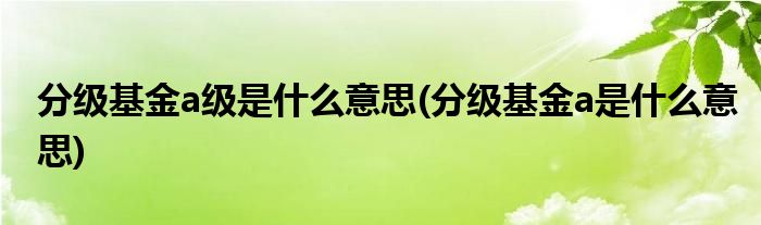 分级基金a级是什么意思(分级基金a是什么意思)