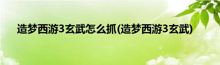 造梦西游3玄武怎么抓(造梦西游3玄武)