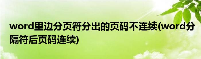 word里边分页符分出的页码不连续(word分隔符后页码连续)