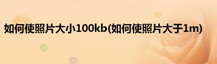 如何使照片大小100kb(如何使照片大于1m)