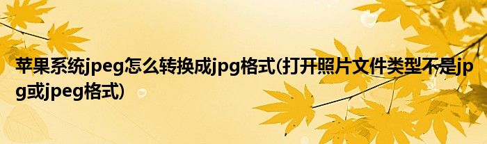 苹果系统jpeg怎么转换成jpg格式(打开照片文件类型不是jpg或jpeg格式)