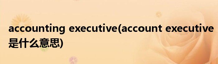 accounting executive(account executive是什么意思)