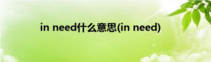 in need什么意思(in need)