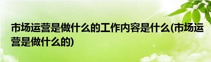 市场运营是做什么的工作内容是什么(市场运营是做什么的)